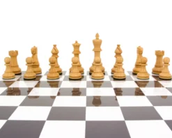 Atlantic Series Rosewood Staunton Chess Pieces 4.25 Inches 13 Atlantic Series Rosewood Staunton Chess Pieces 4.25 Inches -Board Games - Chess And Cards Shop RCP018 06